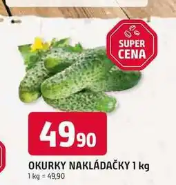 Trefa OKURKY NAKLÁDAČKY 1 kg nabídka