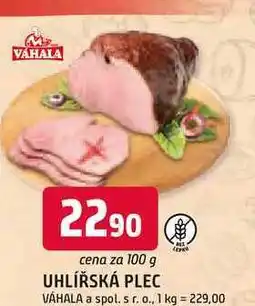Trefa UHLÍŘSKÁ PLEC 100g nabídka