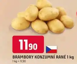 Trefa BRAMBORY KONZUMNÍ RANÉ 1 kg nabídka
