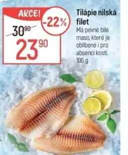 Globus Tilápie nilská filet nabídka