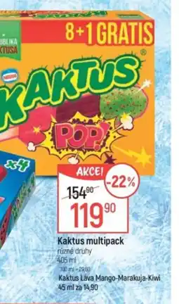 Globus Kaktus multipack nabídka