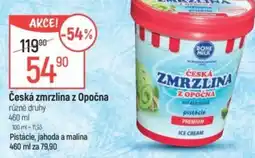 Globus Česká zmrzlina z Opočna nabídka