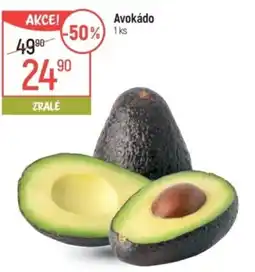 Globus Avokádo nabídka