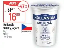 Globus HOLLANDIA Selský jogurt nabídka