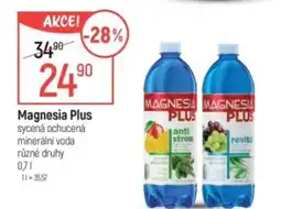 Globus Magnesia Plus nabídka