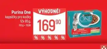 Globus PURINA ONE kapsičky pro kočky nabídka