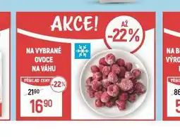 Globus Mražené ovoce na váhu nabídka