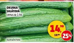 Penny Market Okurka salátová nabídka