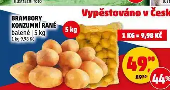 Penny Market Brambory konzumní rané nabídka