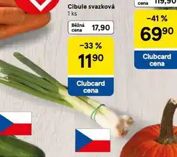 Tesco Cibule svazková nabídka