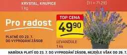 Flop LEVANDULE 1 ks nabídka