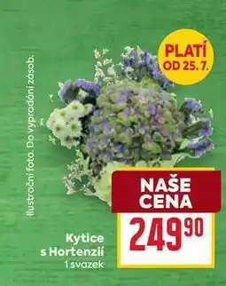 Billa Kytice s Hortenzií 1 svazek nabídka
