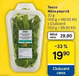 Tesco Tesco Máta peprná, 20 g nabídka