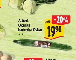 Albert Albert Okurka hadovka 1 ks nabídka