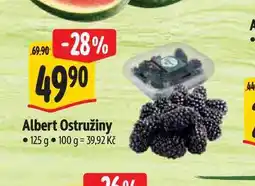 Albert Albert Ostružiny 125 g nabídka
