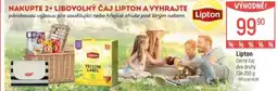 Globus Lipton černý čaj nabídka