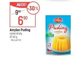 Globus Amylon Puding nabídka