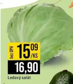 Jip Ledový salát nabídka