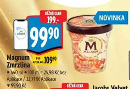 Albert Magnum zmrzlina nabídka