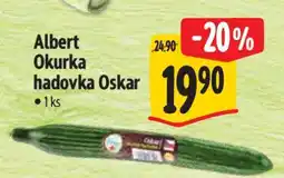 Albert Albert Okurka hadovka Oskar nabídka