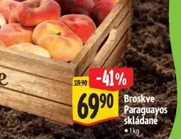 Albert Broskve Paraguayos skládané nabídka