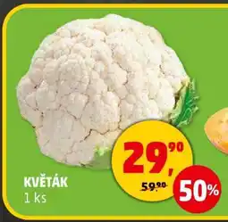 Penny Market Květák nabídka