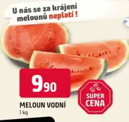 Terno MELOUN VODNÍ nabídka