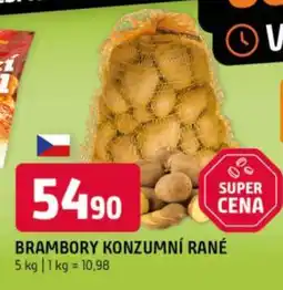 Terno Brambory konzumní rané nabídka