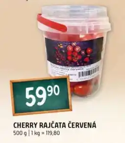 Terno Cherry rajčata červená nabídka