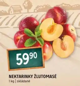 Terno Nektarinky žlutomasé nabídka