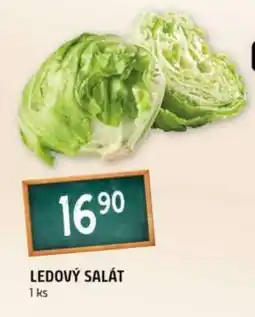 Terno Ledový salát nabídka