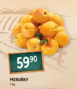 Terno Meruňky nabídka