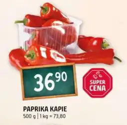 Terno Paprika kapie nabídka