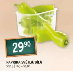 Terno PAPRIKA SVĚTLÁ/BÍLÁ nabídka