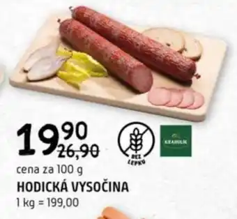 Terno HODICKÁ VYSOČINA nabídka