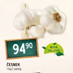 Terno ČESNEK nabídka