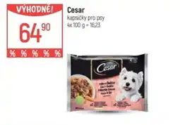 Globus Cesar kapsičky pro psy nabídka