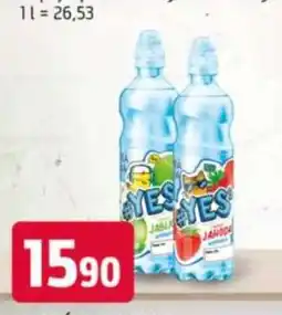 Terno YES nabídka
