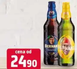 Terno Bernard nabídka