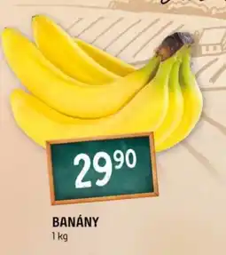 Terno Banány nabídka