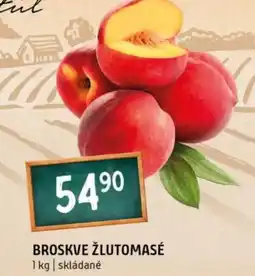 Terno Broskve žlutomasé nabídka