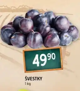 Terno Švestky nabídka
