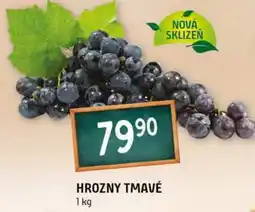 Terno Hrozny tmavé nabídka