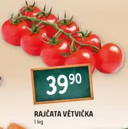 Terno Rajčata větvička nabídka