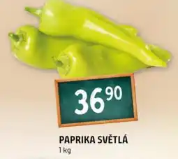 Terno Paprika světlá nabídka