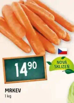Terno Mrkev nabídka