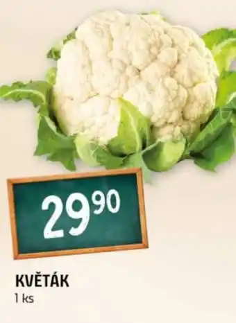 Terno Květák nabídka