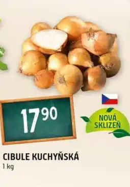 Terno Cibule kuchyňská nabídka