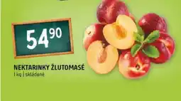 Terno Nektarinky žlutomasé nabídka