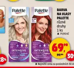 Penny Market Palette barva na vlasy nabídka